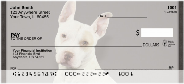 Pitt Bulldogs Personal Checks | QBB-81