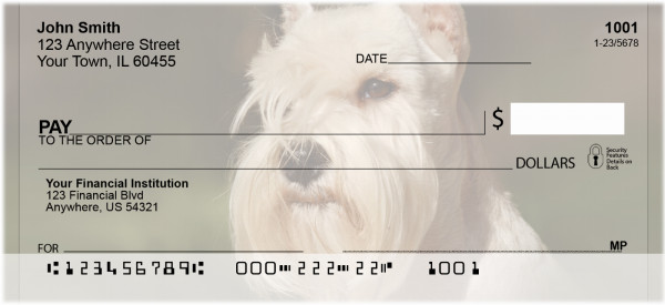 White Standard Schnauzer Personal Checks | QBB-92