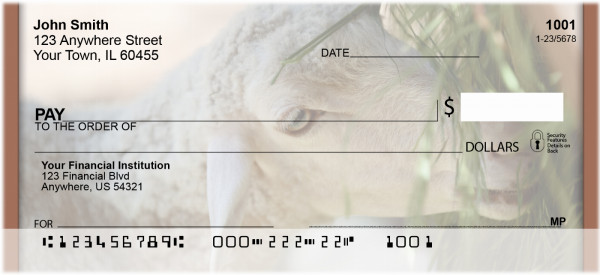 Grazing Sheep Personal Checks | QBD-33