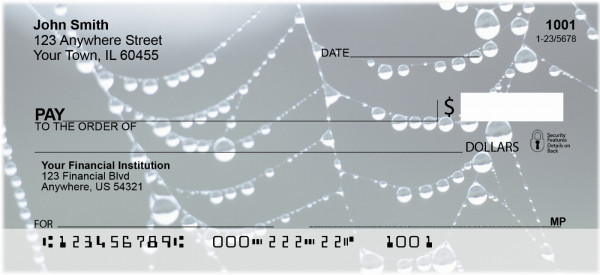 Dewy Webs Personal Checks | QBH-94