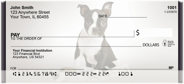 Boston Terrier Puppies Personal Checks | ZDOG-03