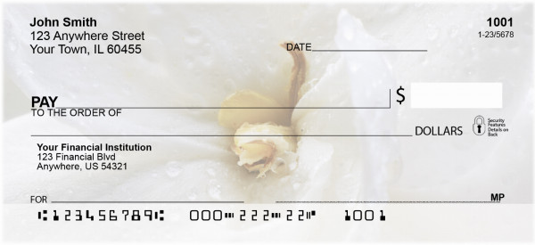 Wonder In White Personal Checks | ZFLO-54