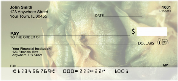 Pineapple Abstracts Personal Checks | ZFOD-42