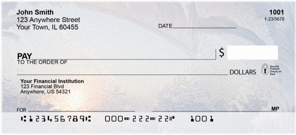 Frosty Windows Personal Checks | ZSCE-66