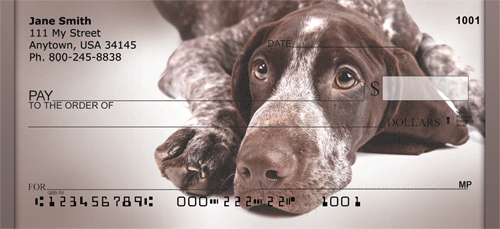 Shorthaired Pointer Dog Close-Ups Checks